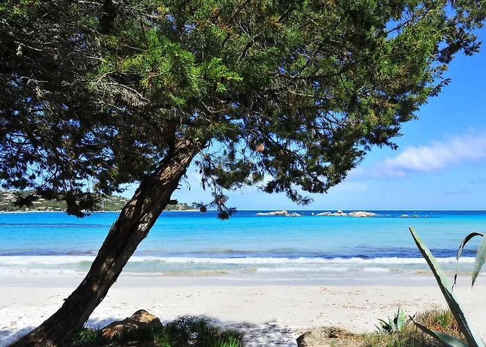 Castell'verde 3* Porto Vecchio